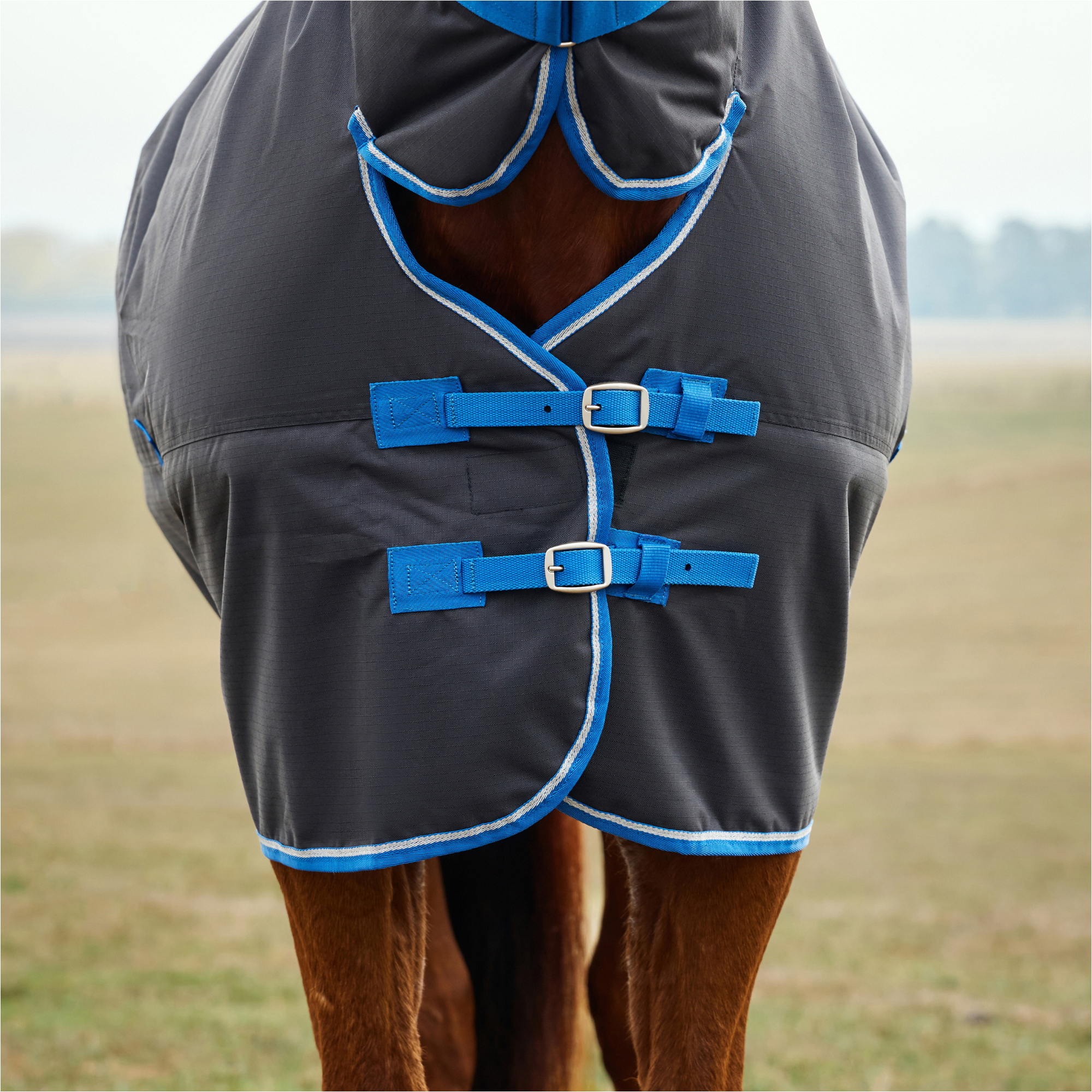 2025 Weatherbeeta Comfitec Tyro Turnout Combo Neck 220G 1029034 - Black